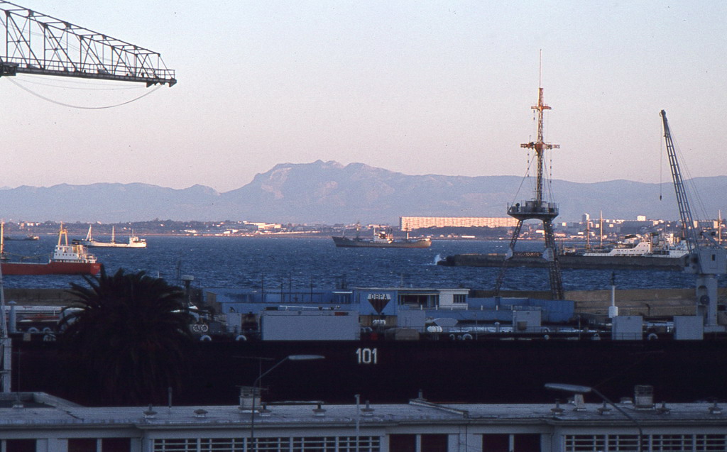 050.jpg