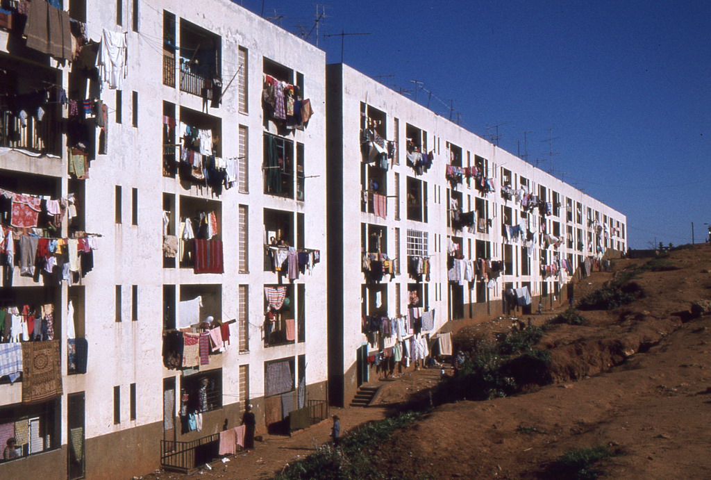 062.jpg