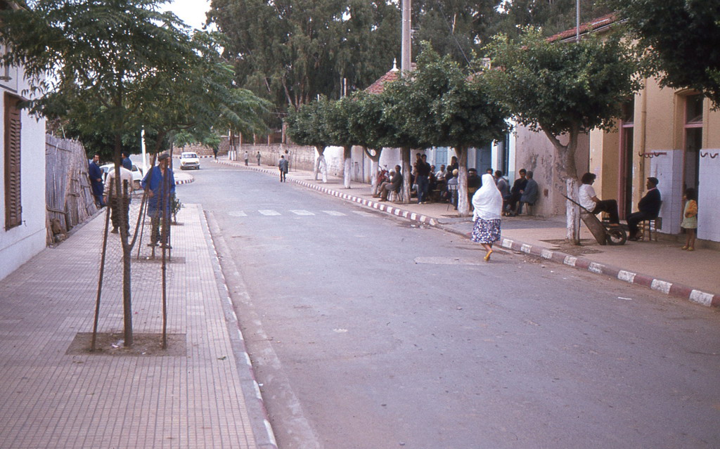 102.jpg