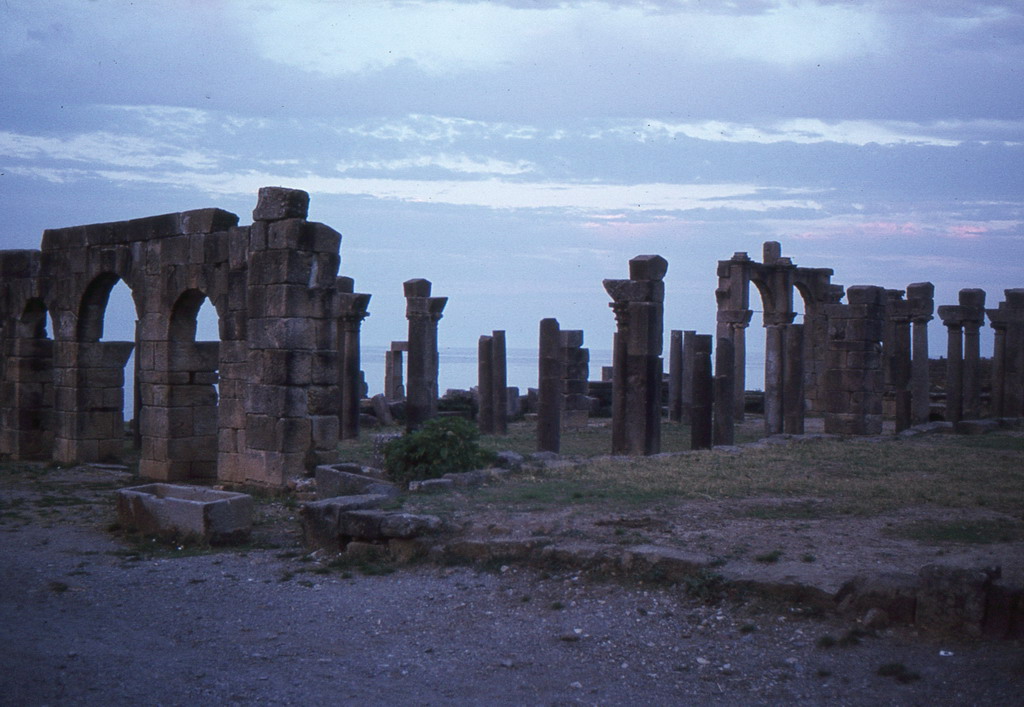 103.jpg
