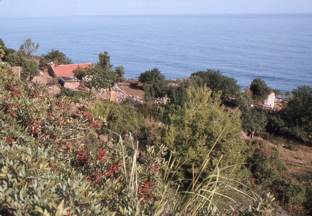 104.jpg