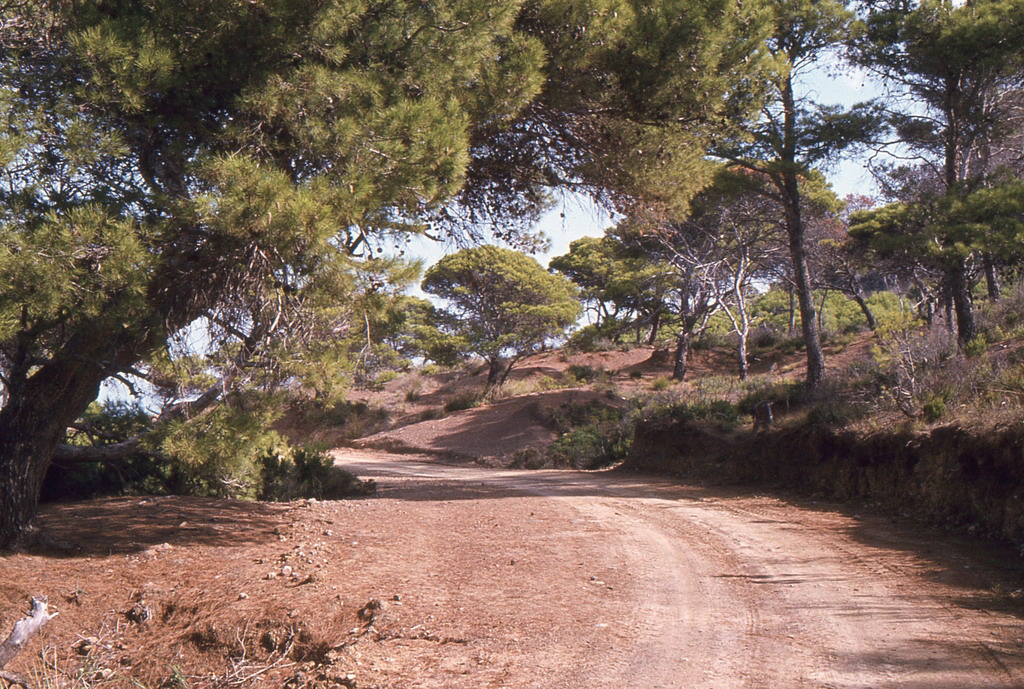 107.jpg
