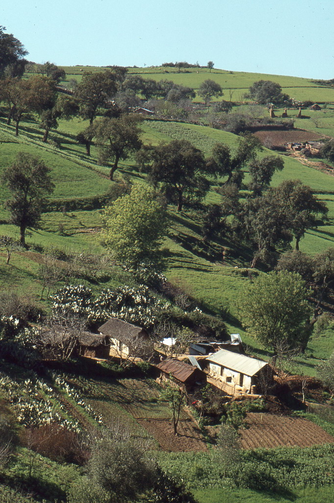 125.jpg