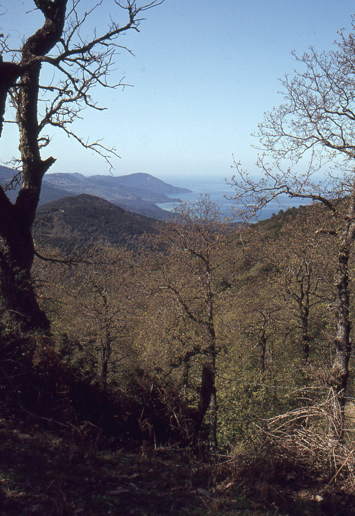 130.jpg