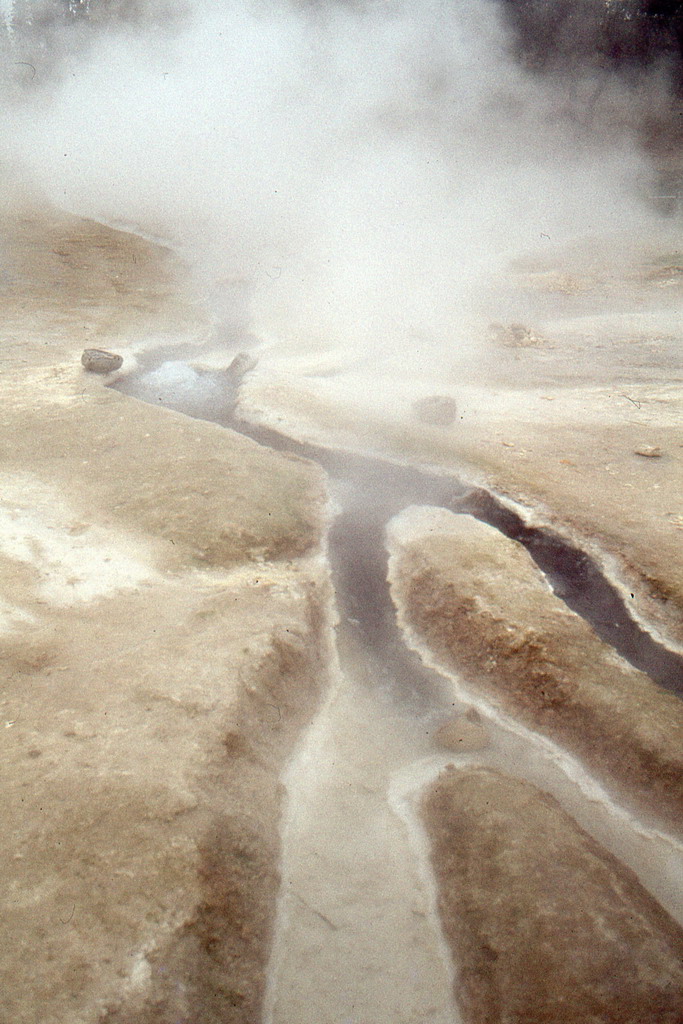134.jpg