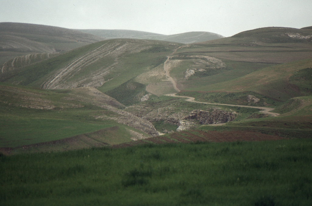 136.jpg