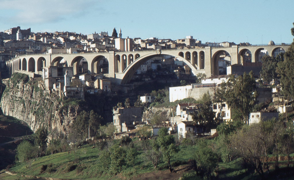 137.jpg