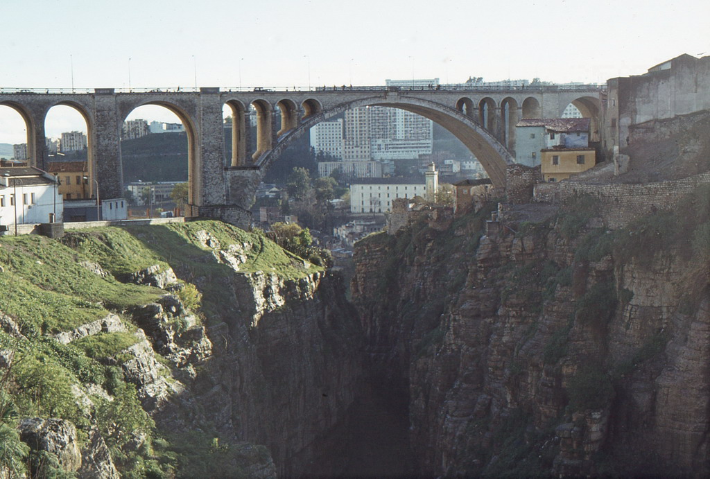138.jpg