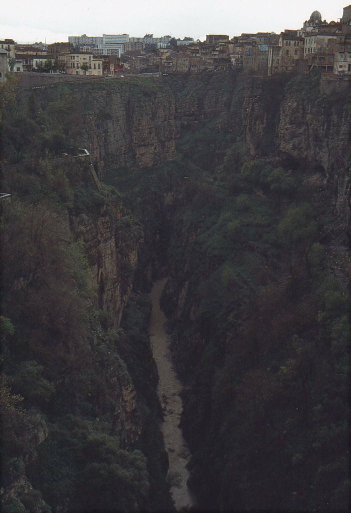 140.jpg