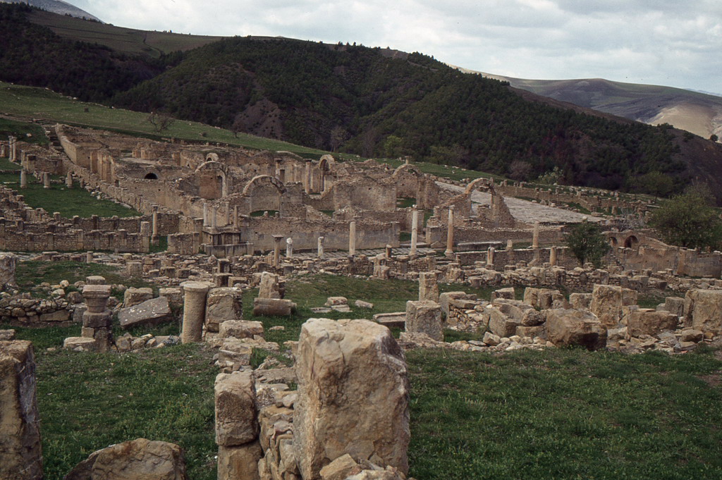 144.jpg