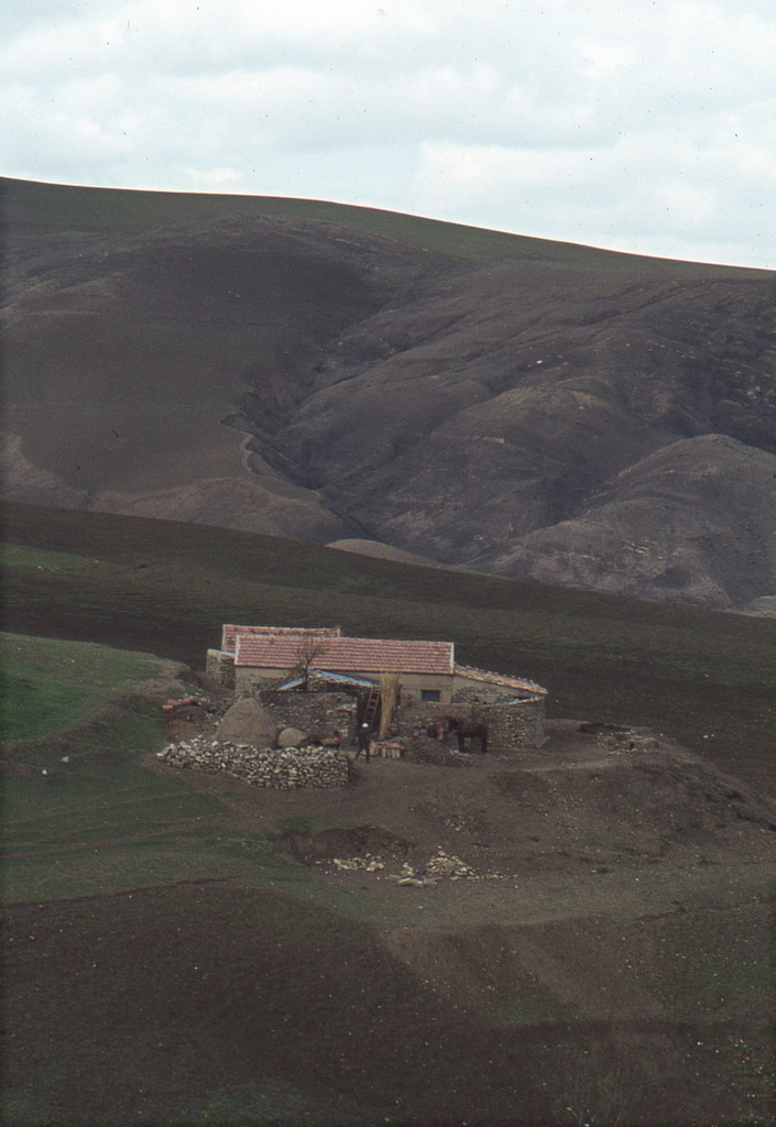 151.jpg