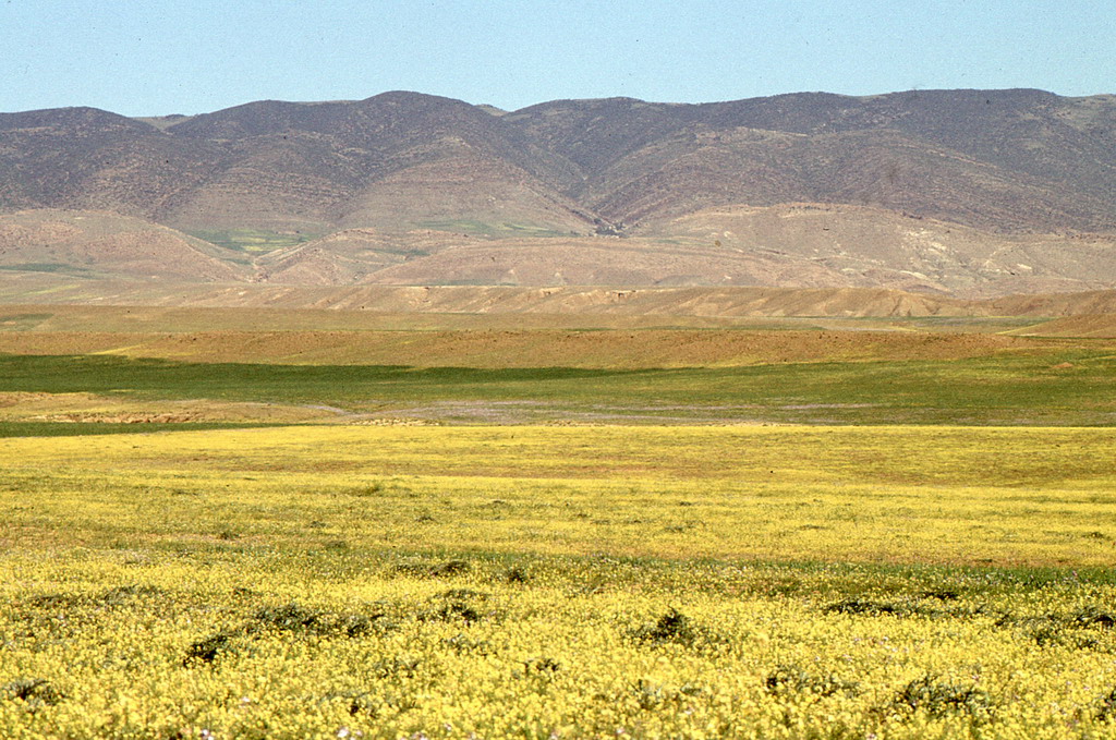 154.jpg