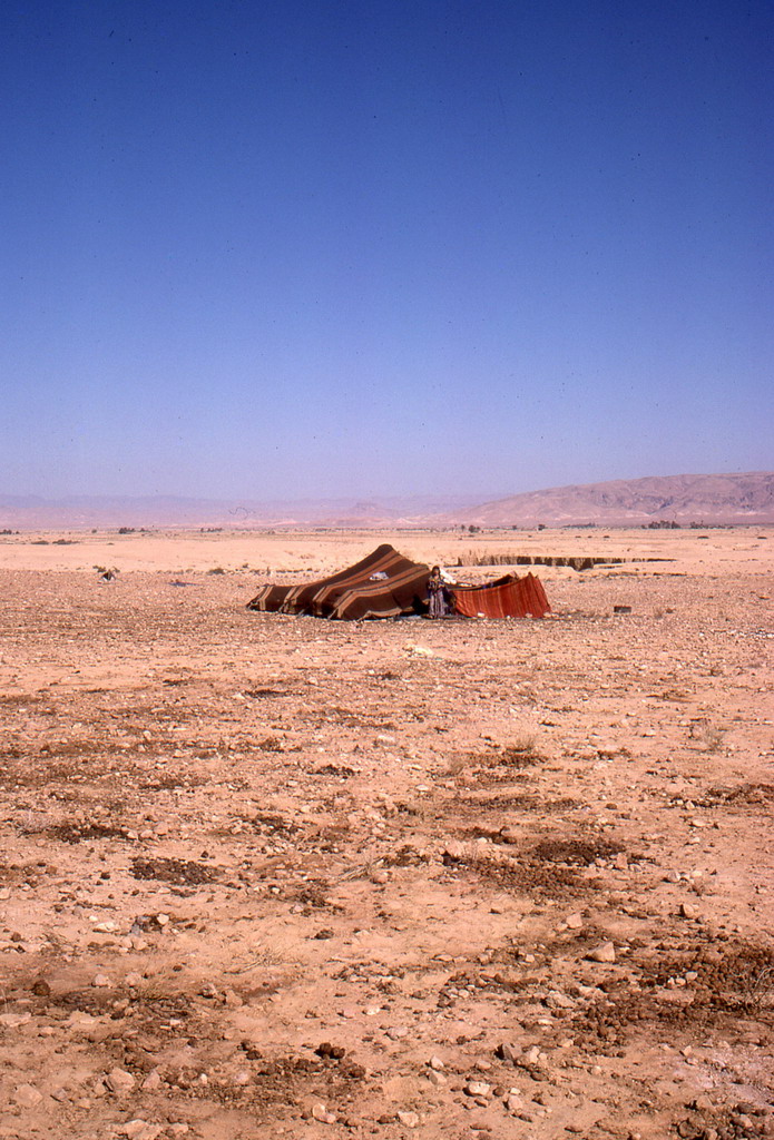 158.jpg