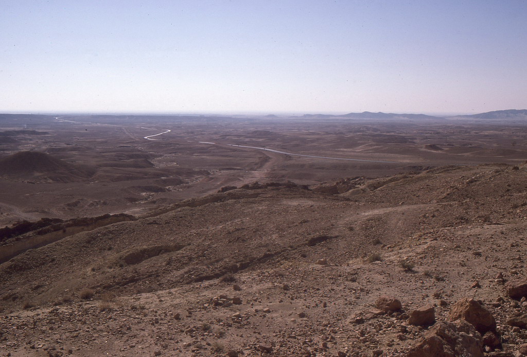 159.jpg