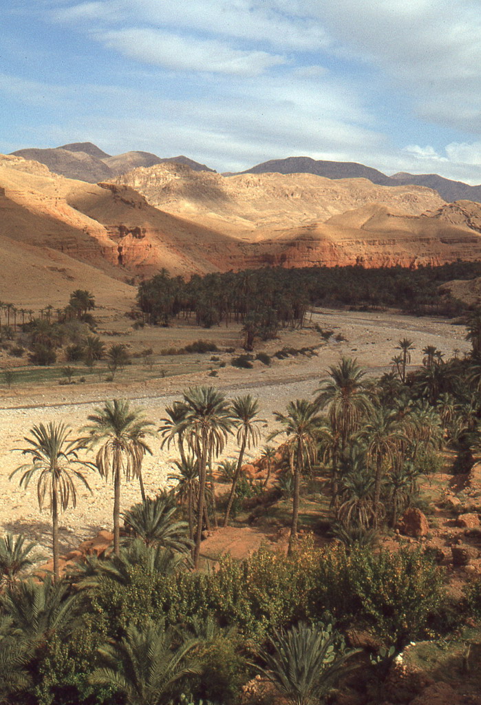 160.jpg