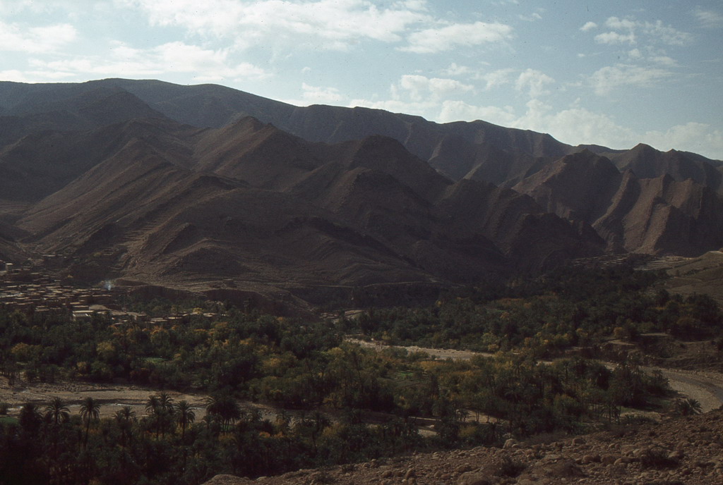 161.jpg