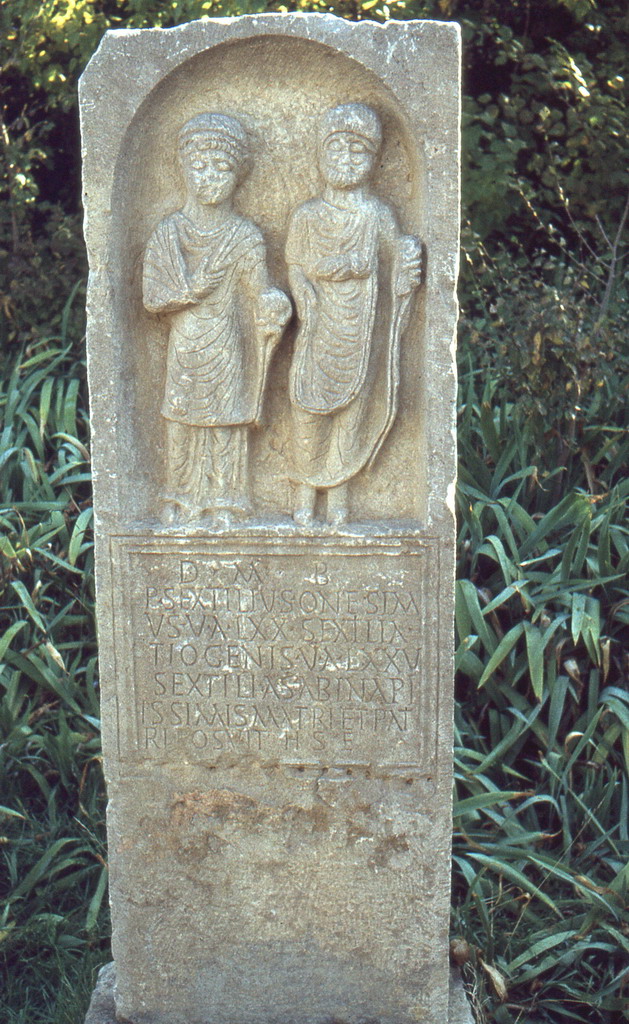 163.jpg
