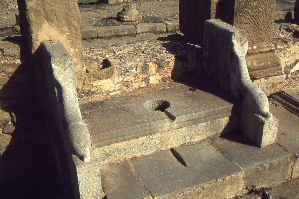 166.jpg