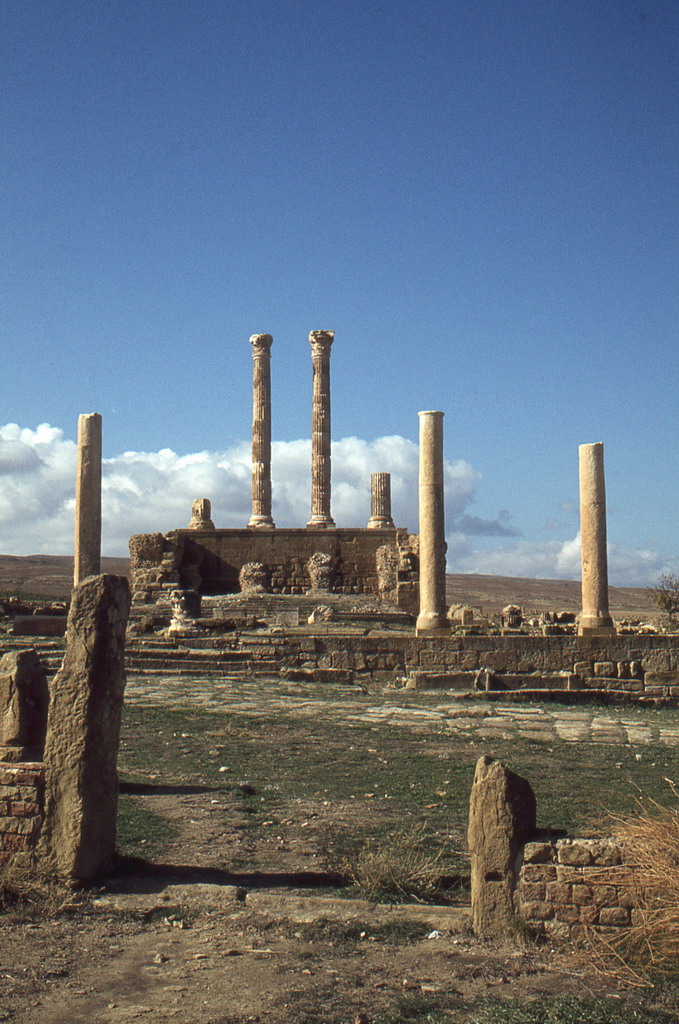 169.jpg