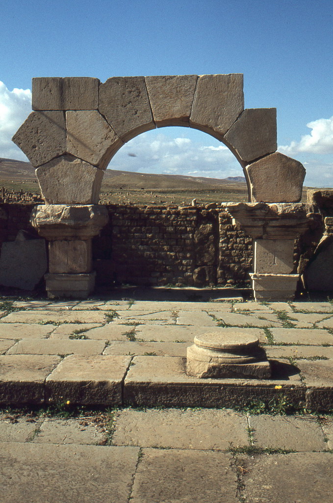 171.jpg