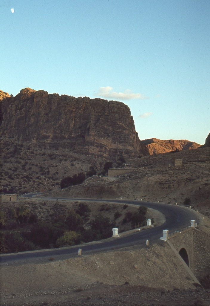 175.jpg