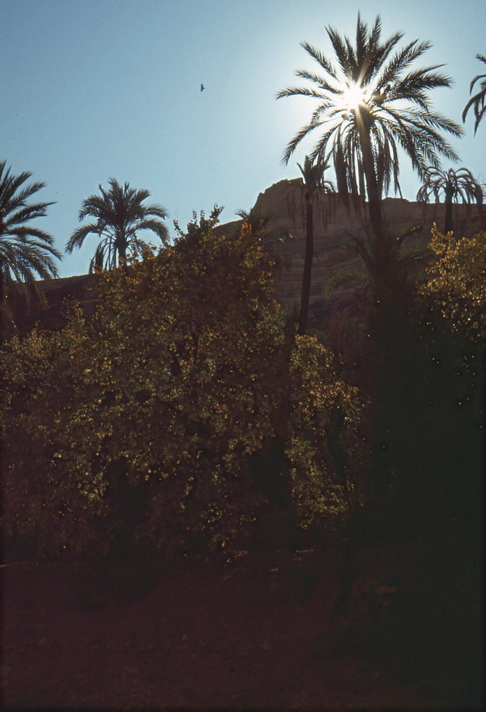 185.jpg