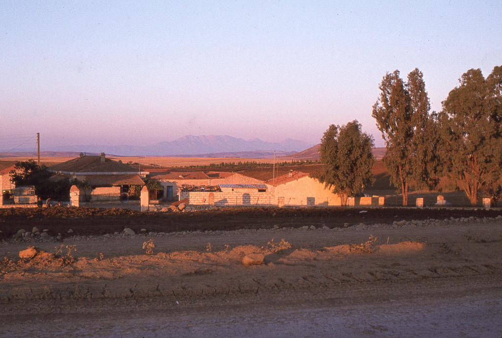 193.jpg