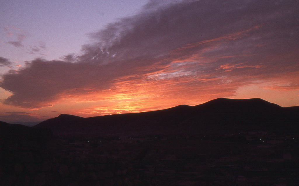 194.jpg