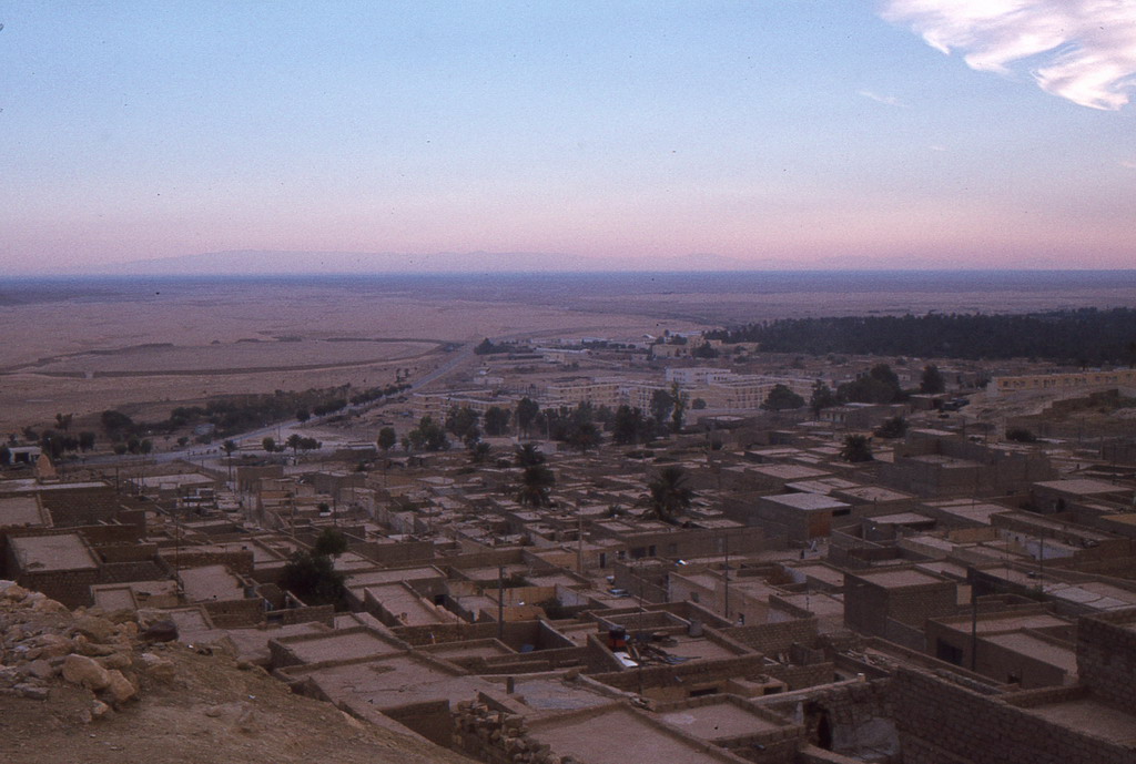 195.jpg