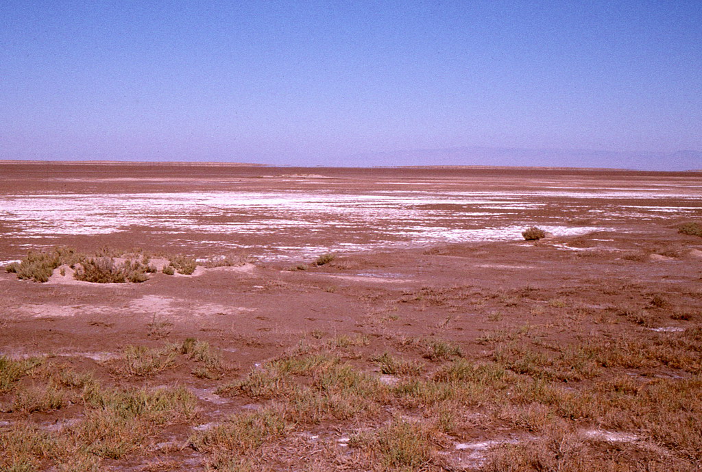201.jpg