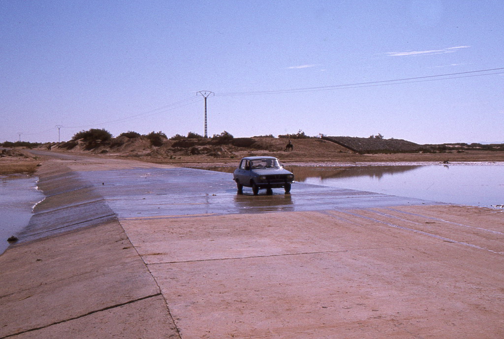 202.jpg