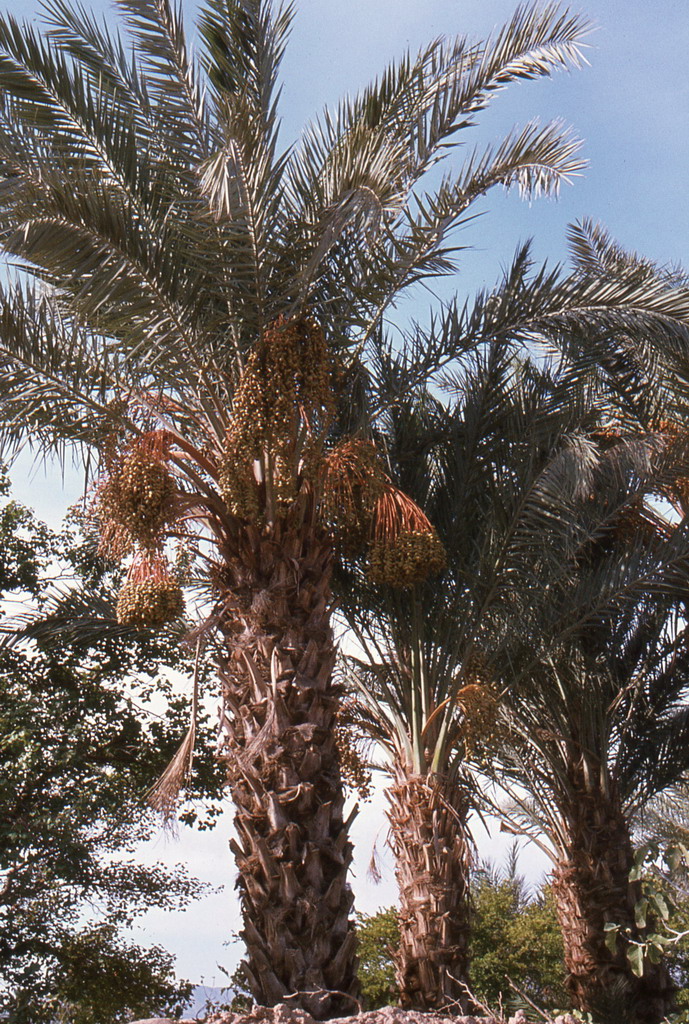 205.jpg