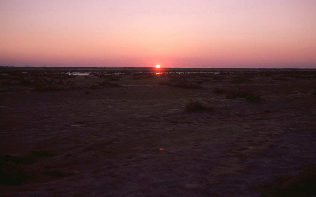 215.jpg