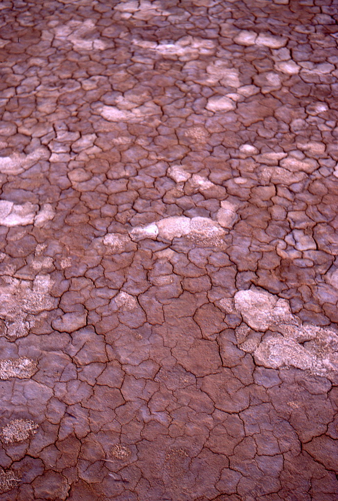 216.jpg
