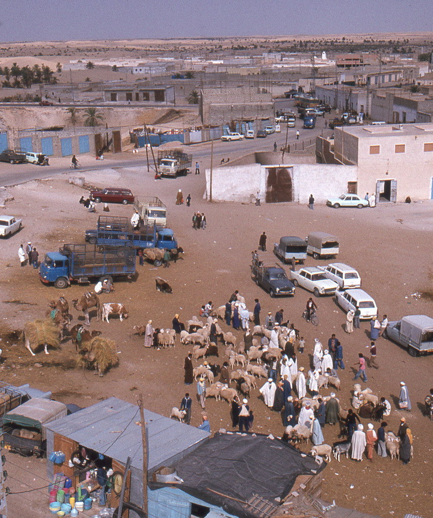 226.jpg