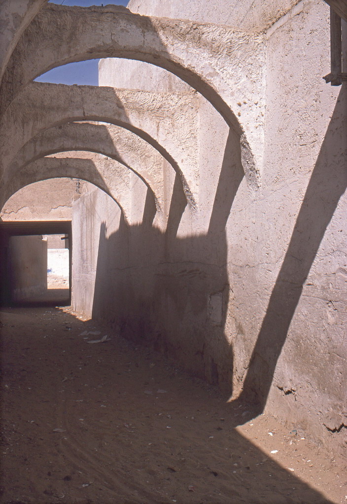 229.jpg