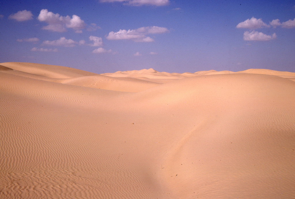 241.jpg