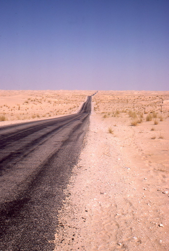 242.jpg