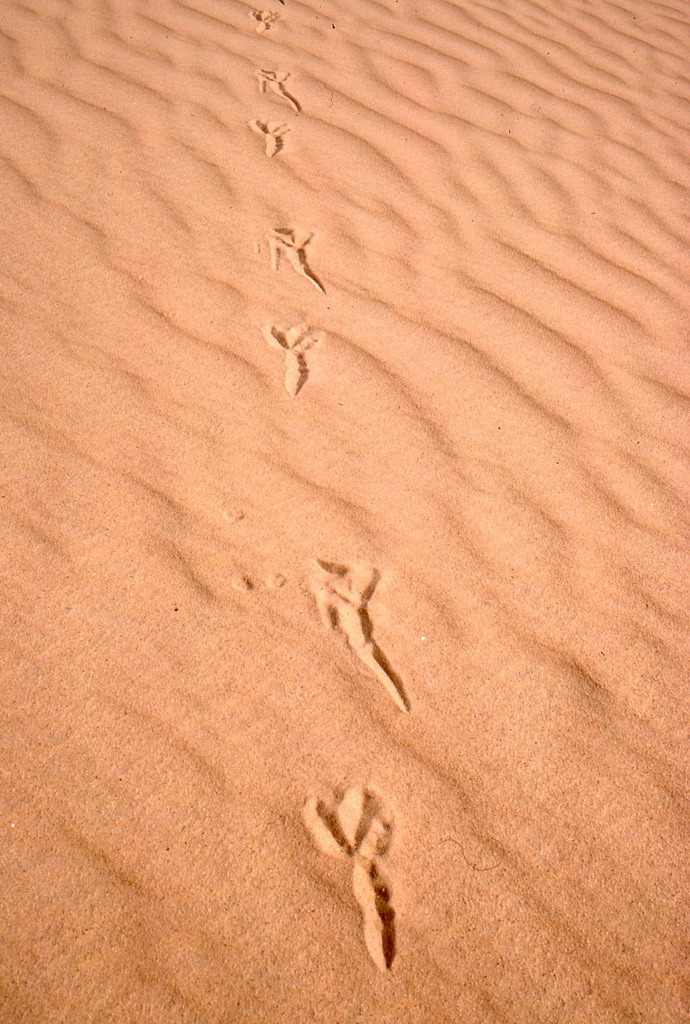 246.jpg