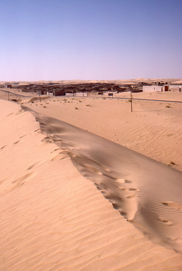 247.jpg