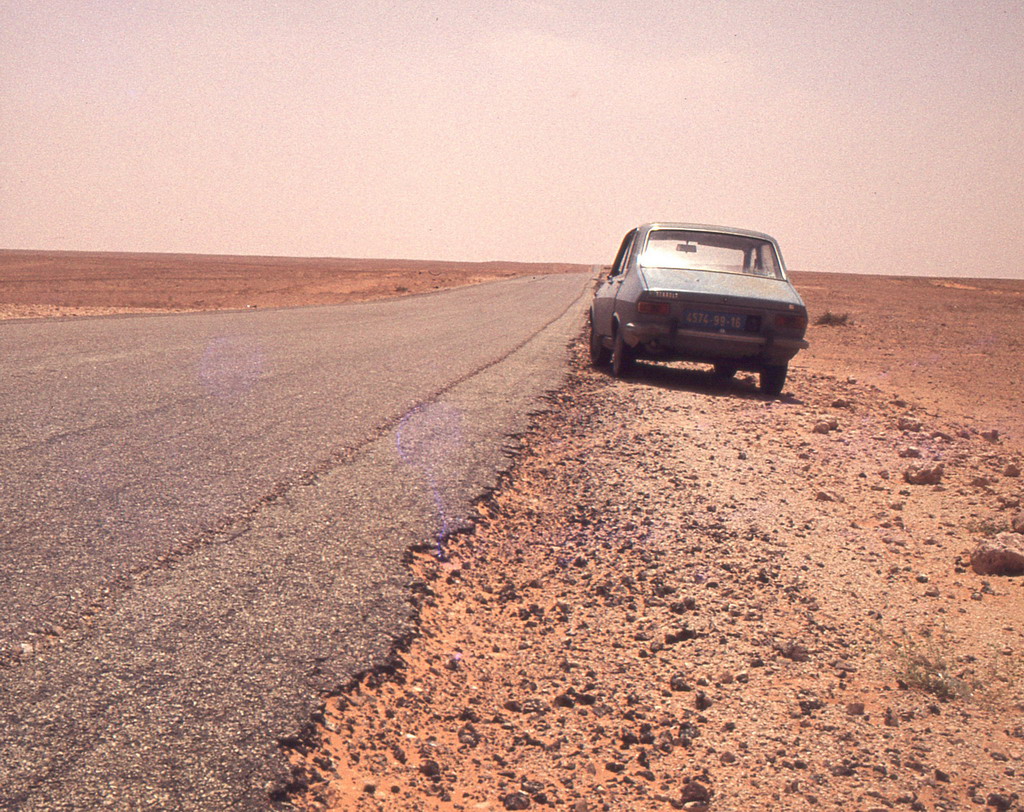 256.jpg