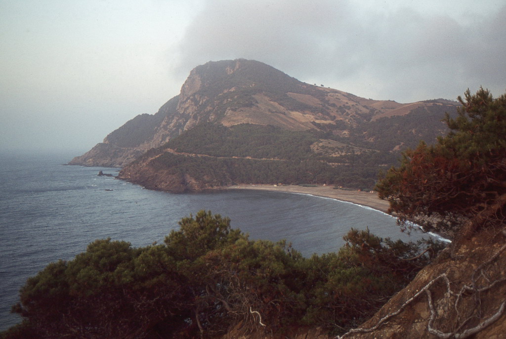 261.jpg