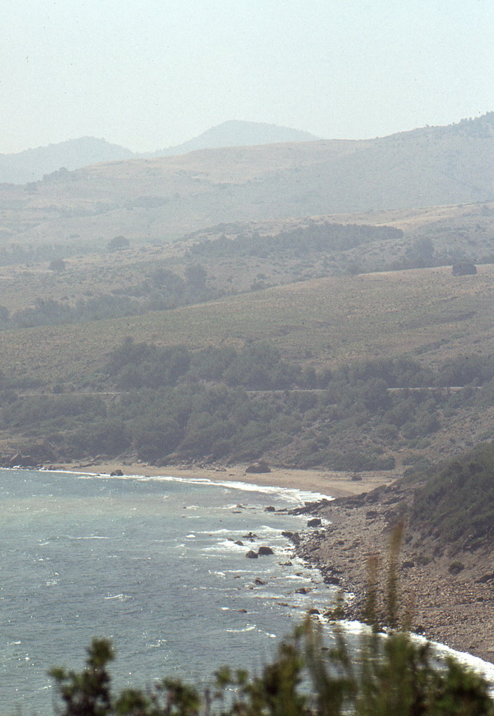 263.jpg