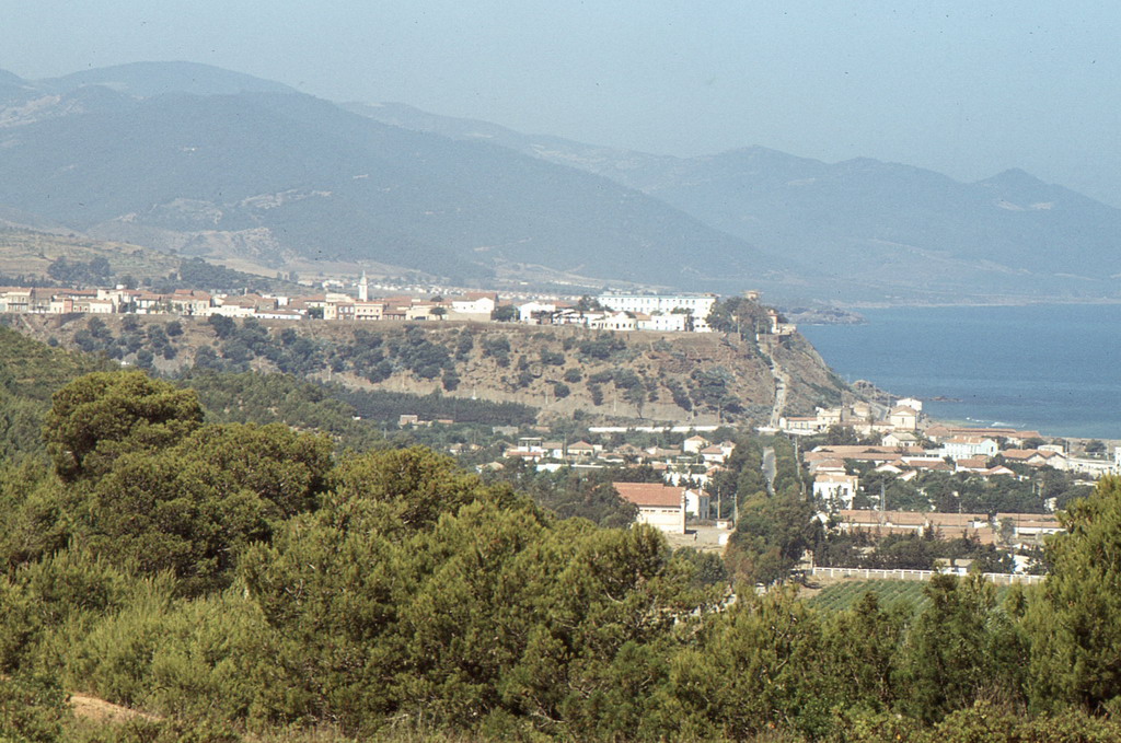 264.jpg