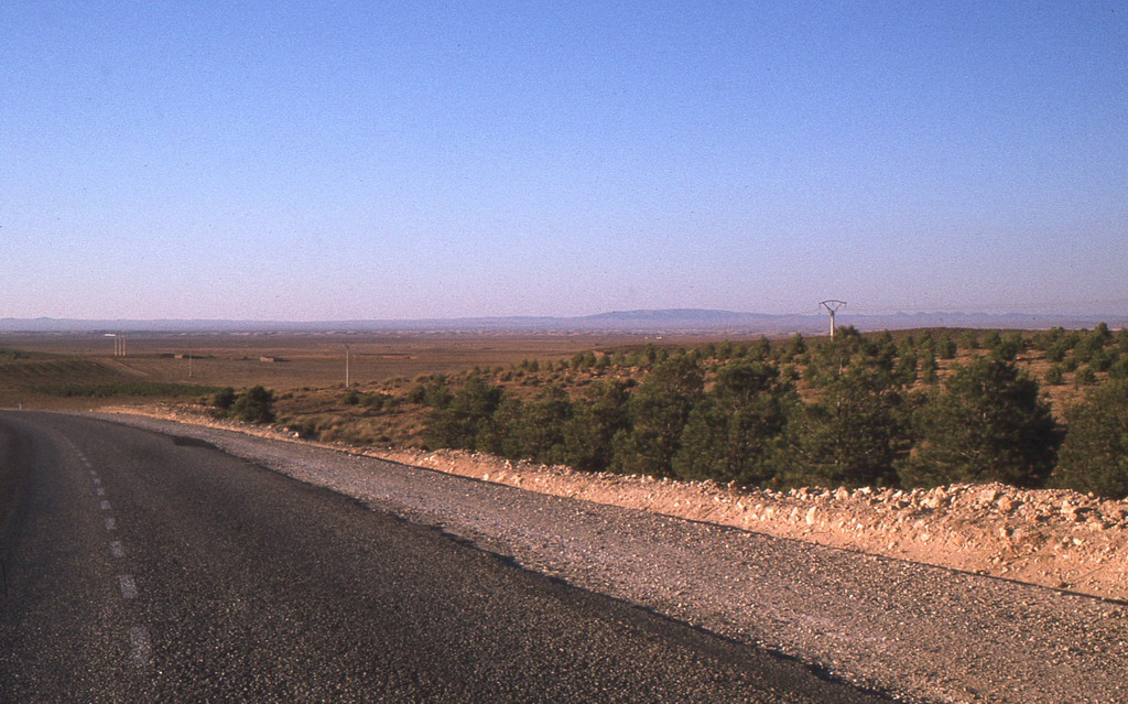 276.jpg