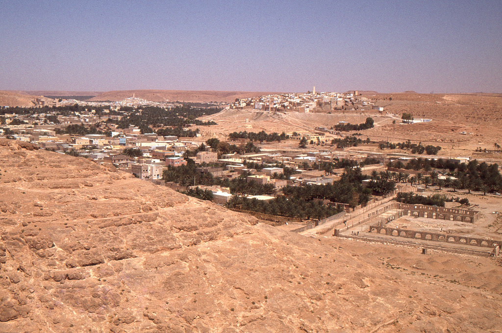 286.jpg