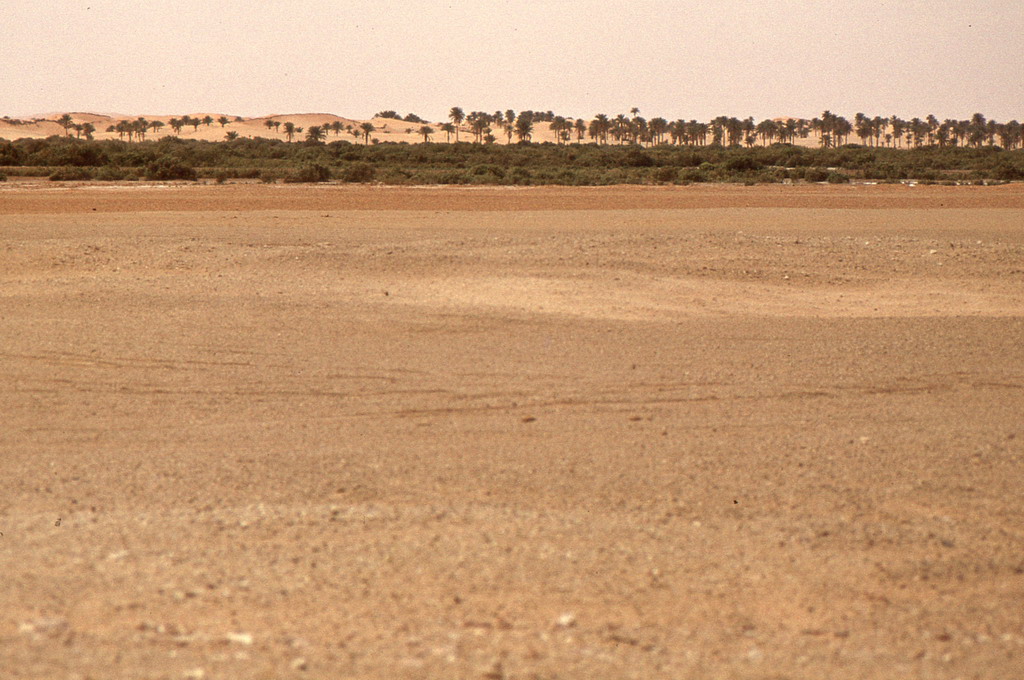 304.jpg