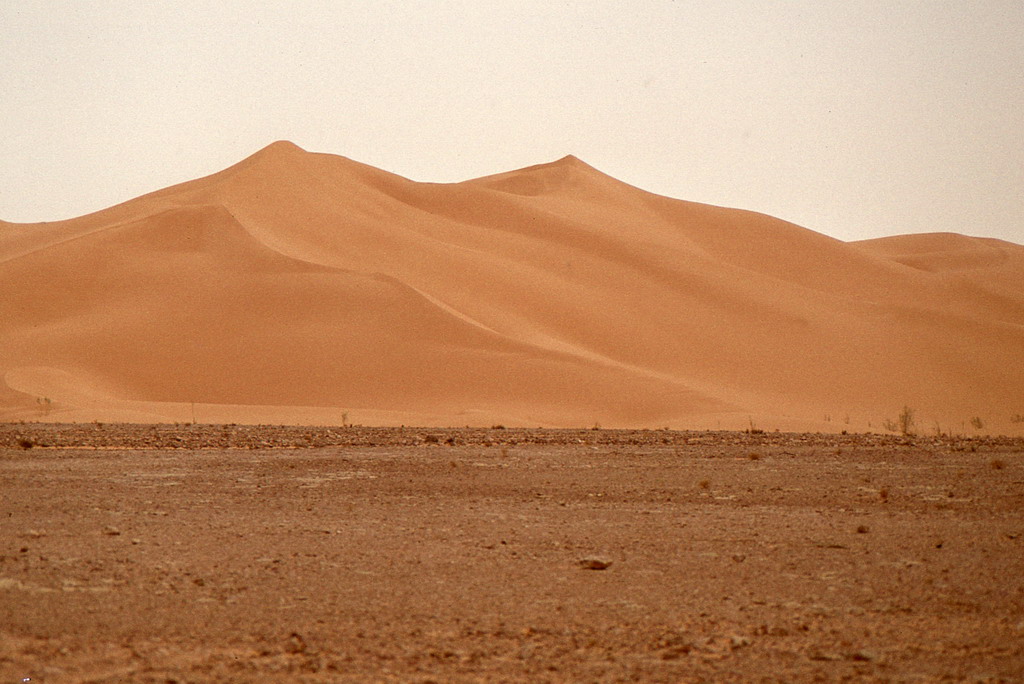 306.jpg