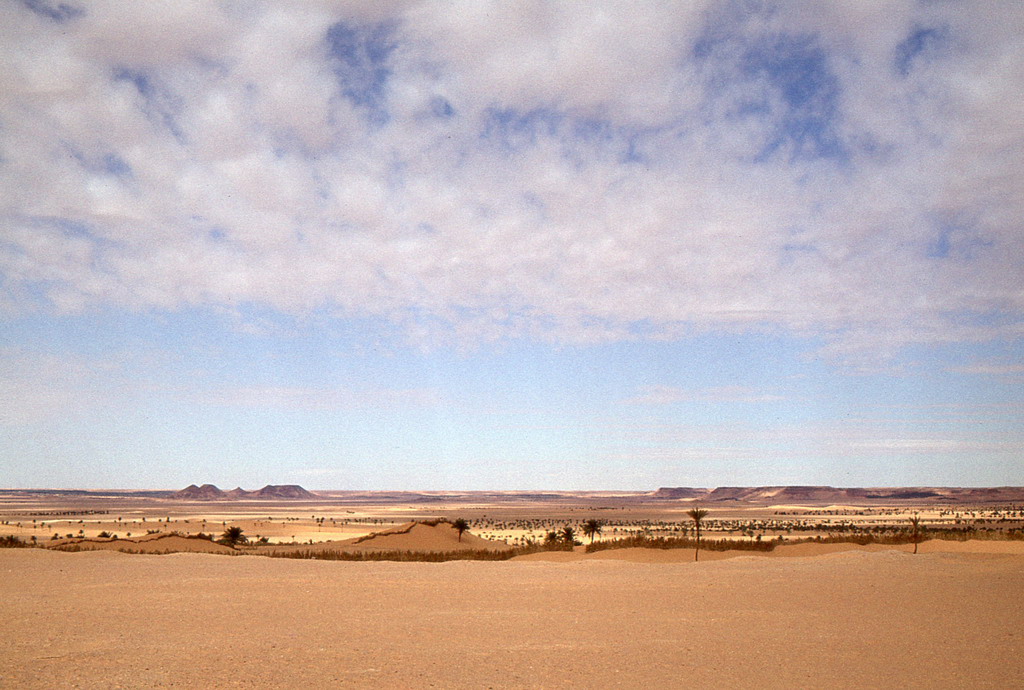 317.jpg