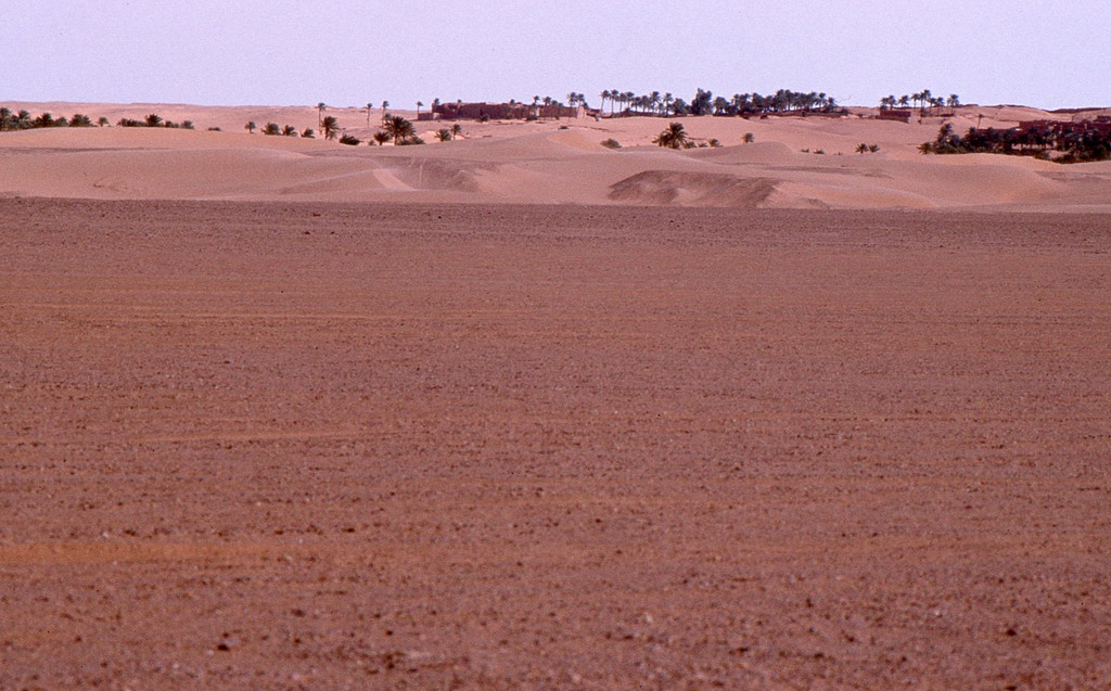 324.jpg